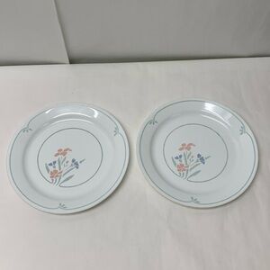 Corelle STENCIL GARDEN 10.25 Dinner Plates by Corning - USA set 2